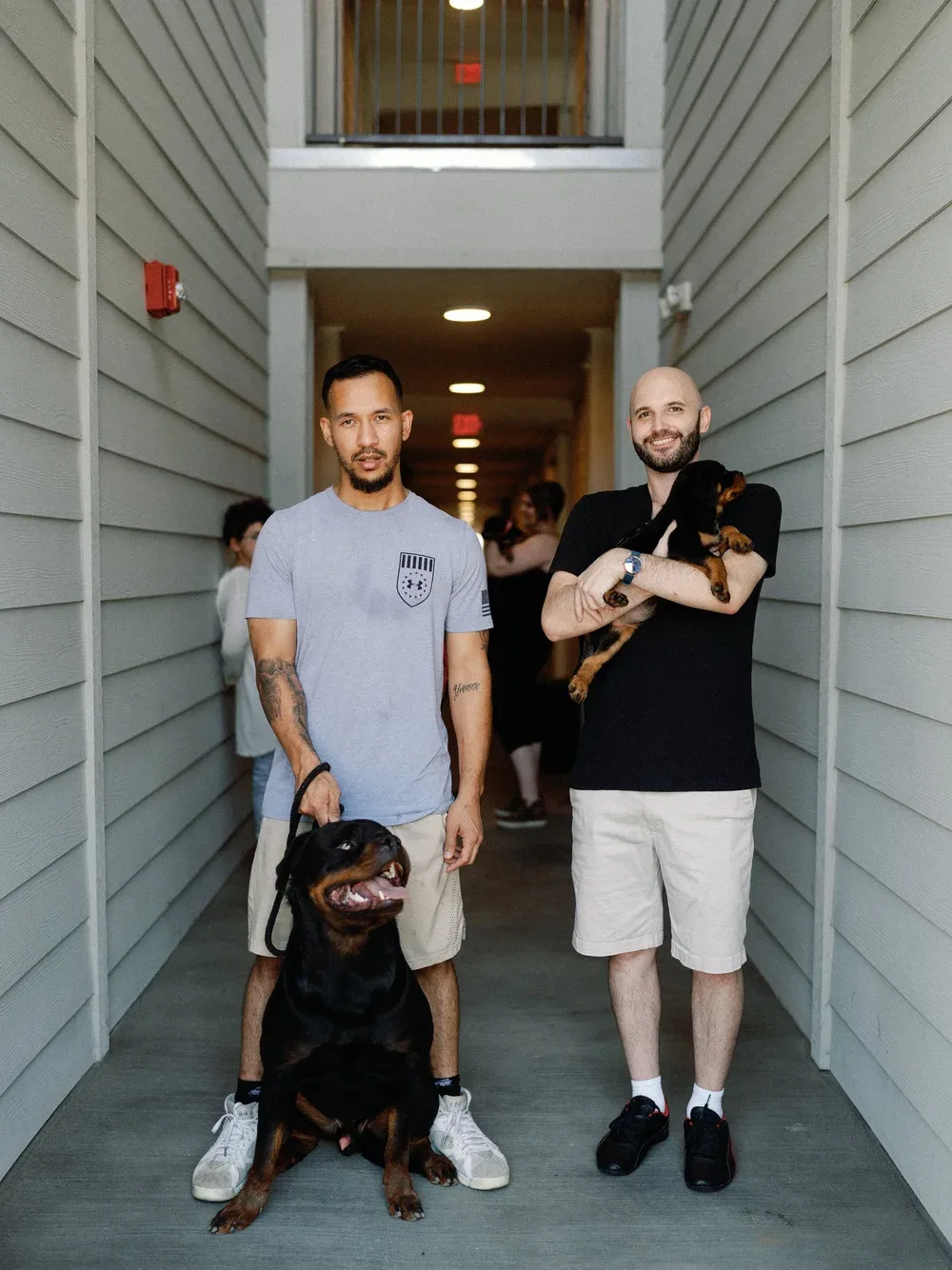 DN Rottweilers litter