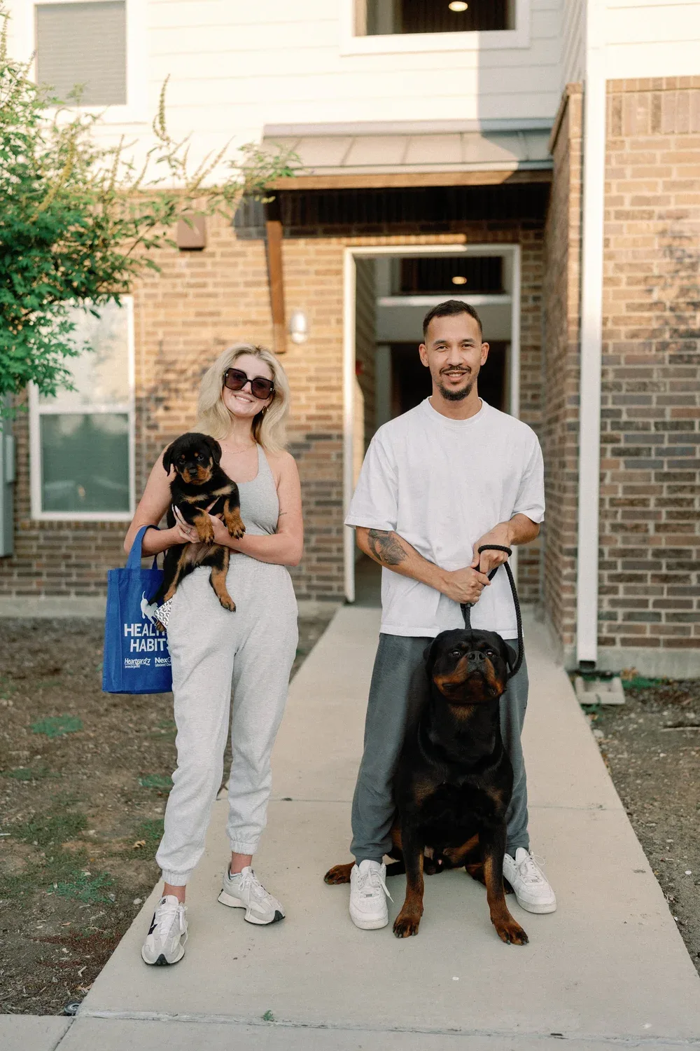 DN Rottweilers litter
