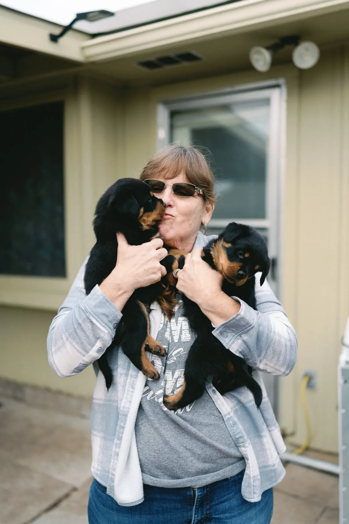 DN Rottweilers litter