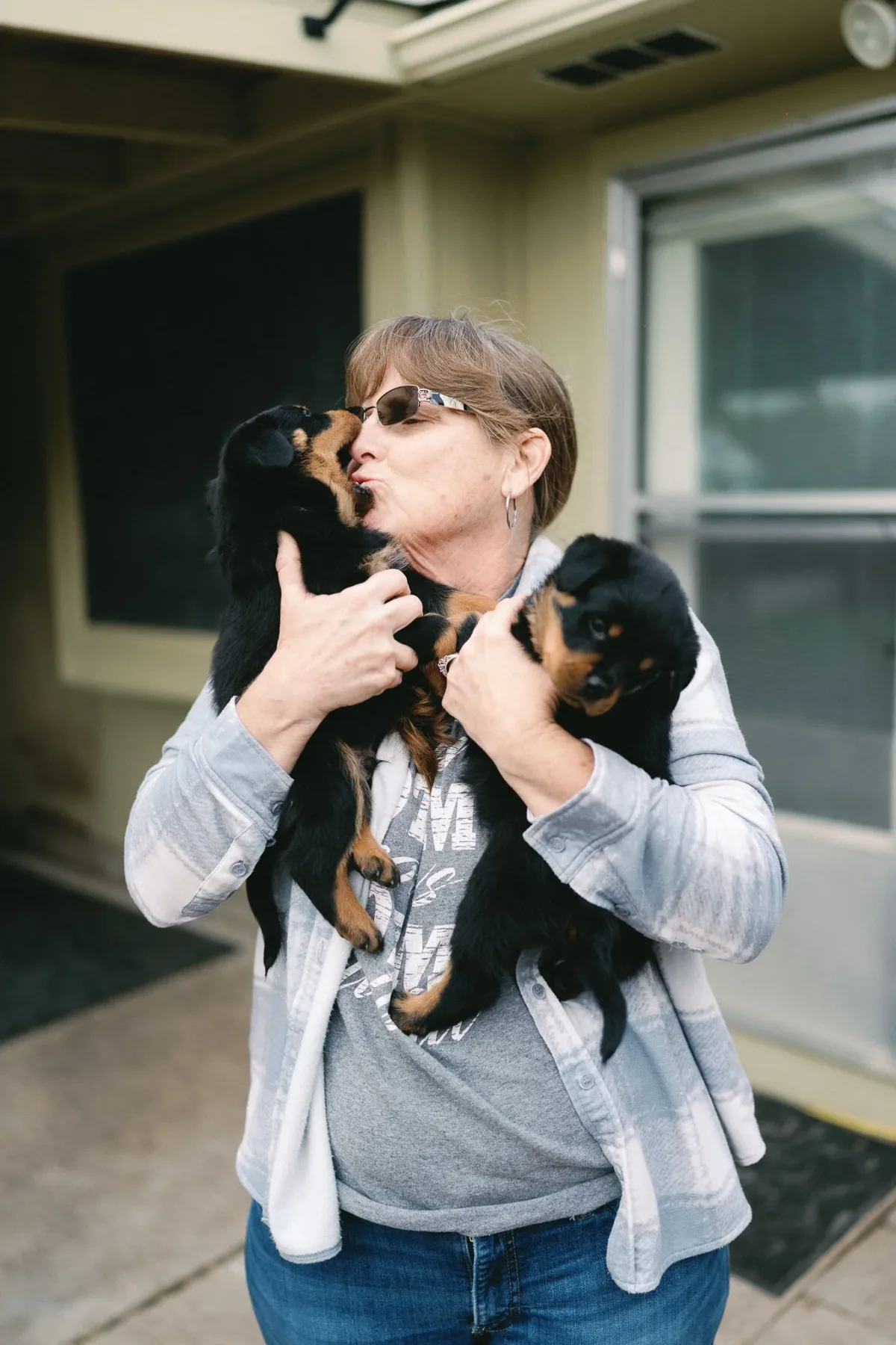 DN Rottweilers litter