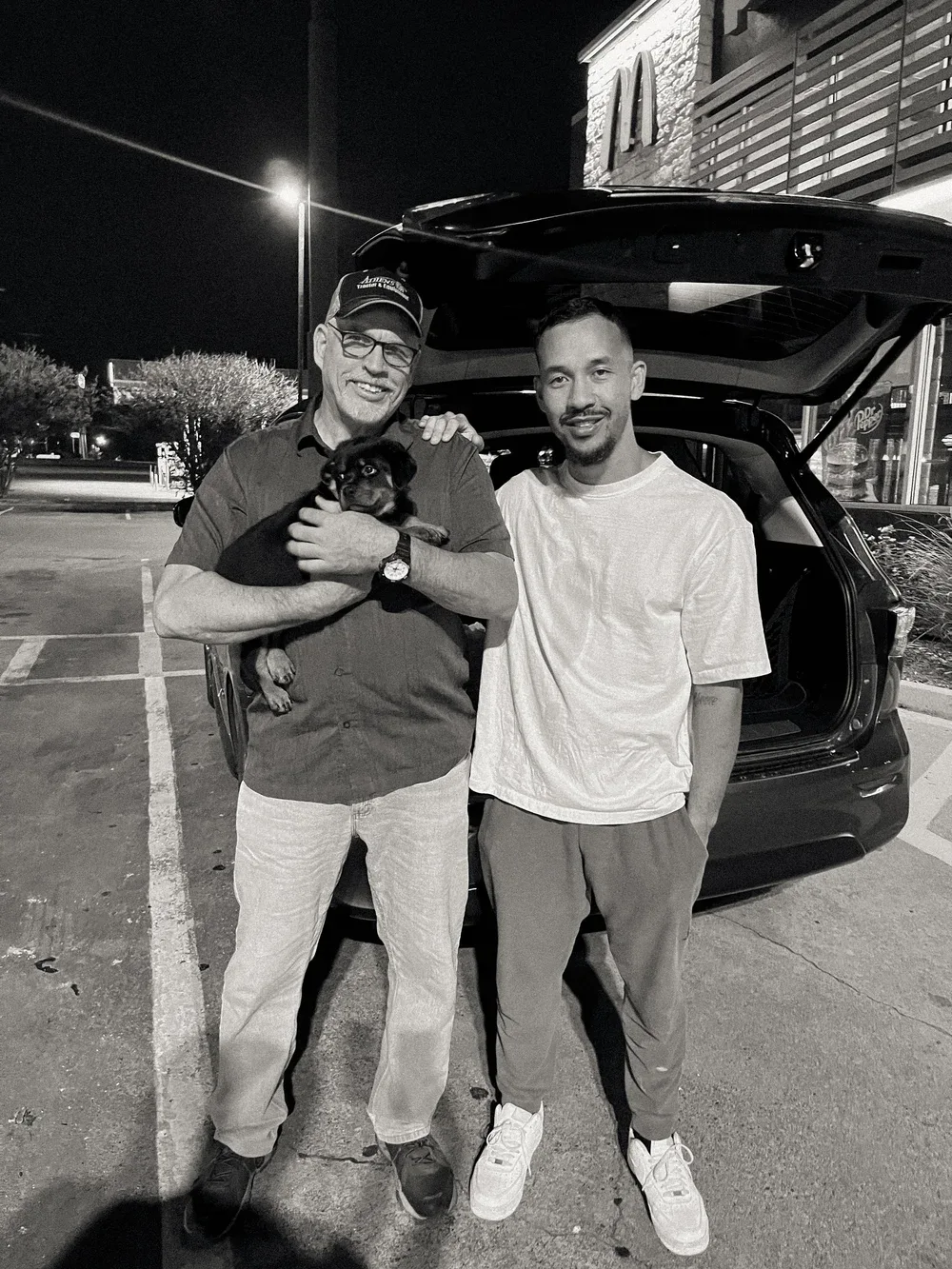 DN Rottweilers litter