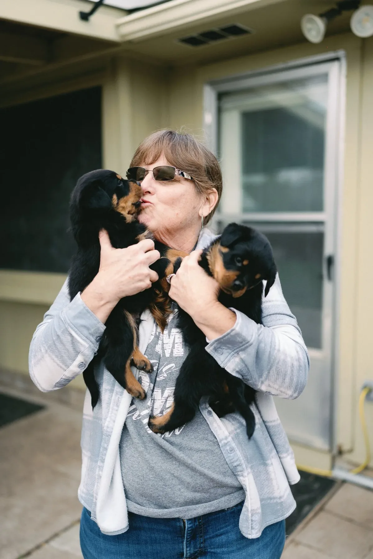 DN Rottweilers litter