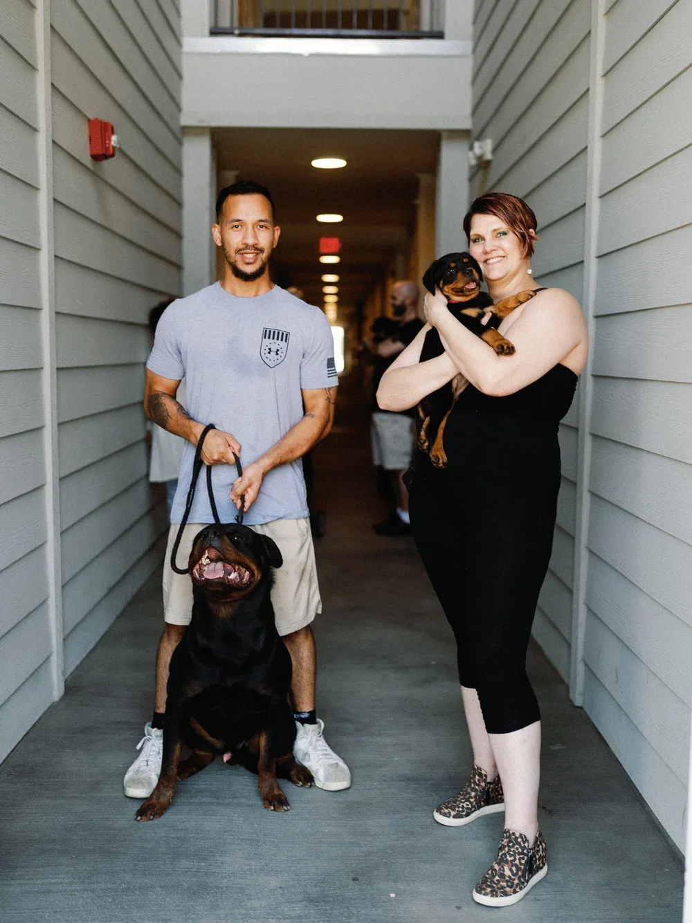 DN Rottweilers litter