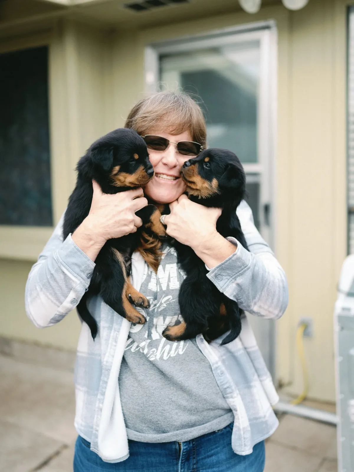 DN Rottweilers litter